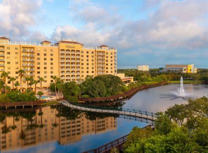 Hilton St. Petersburg Carillon Park