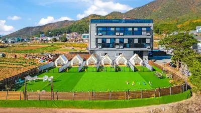 Namhae Dangdangi Dog Pension Blue