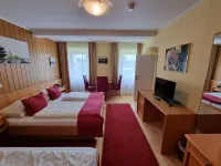 Hotel Fasching Hotels in 