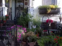 Ledroit Park Renaissance B&B - Homestays