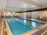 Comfort Suites Near Denver Downtown Hotels near Trve Brewing