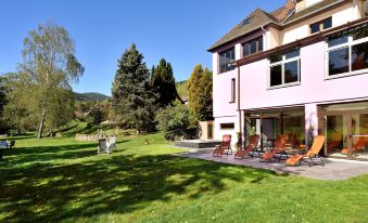 Logis Hotel des Vosges