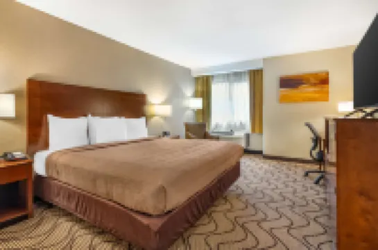 베스트 웨스턴 존 무어 인