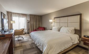 Hampton Inn Colorado Springs-Airport