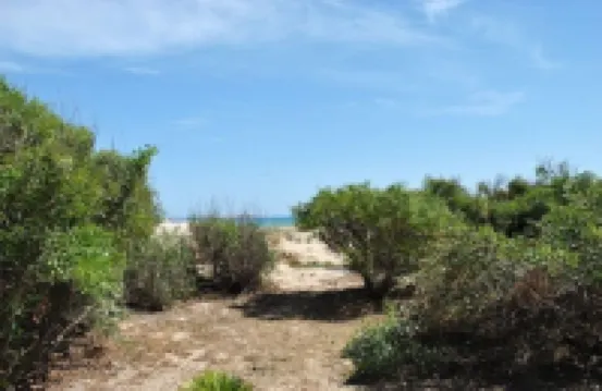 Villa at 20 m. from the sea on the beautiful and unspoiled beach of Carratois