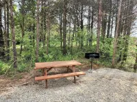 Couples Retreat with hot tub (cabin2)