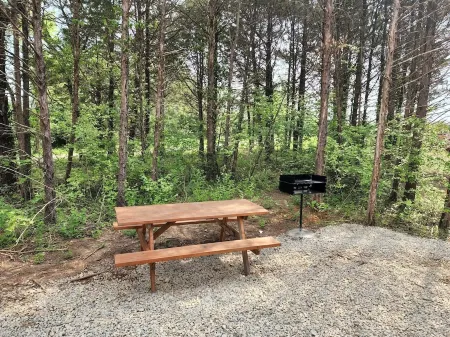 Couples Retreat with hot tub (cabin2)