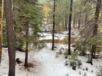 Rustic River Retreat - Pet Friendly - WIFI - 12 minutes to Sugar Bowl Resort