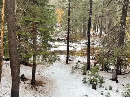 Rustic River Retreat - Pet Friendly - WIFI - 12 minutes to Sugar Bowl Resort