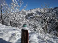 Charming Cottage in the Heart of Old Bisbee