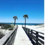 Daphne’s Hideaway