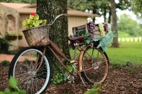 Fortunata Winery Villa #3, Tuscan-Inspired Escape