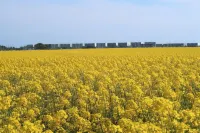 Newly renovated apartment, lake view, directly on the south beach, WLAN & beach chair included