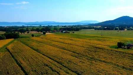 Romantic Studio Apartment