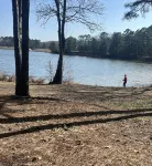 Cozy cabin on Lake Ludwig with a nice view of the lake. Pet friendly!