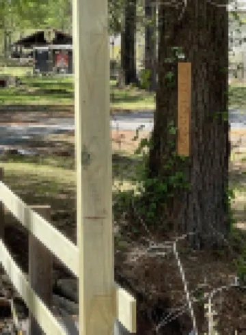 Shady Pine Cabin