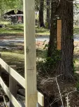 Shady Pine Cabin