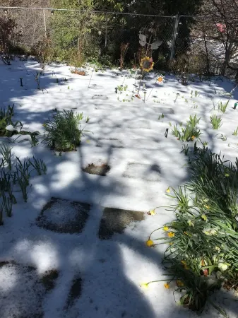 Bison Lodge For Quiet Contemplation, Modern Conveniences, AC/Wifi & Pets