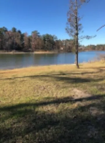 Cozy Cabin on Lake Sam Rayburn w/waterfront access