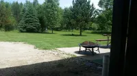 Quiet 3 Acres On DNR Fishing Lake With 200' Of Shoreline Just Outside Longville - Parvekkeita
