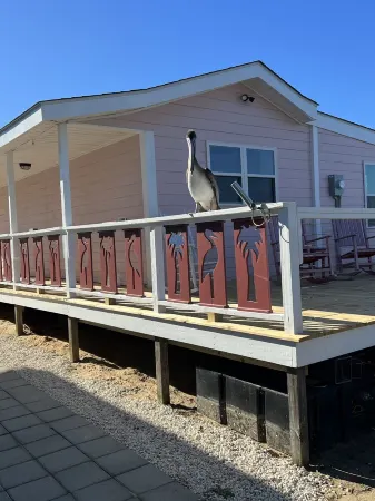The Pink cottage on West Beach, water front , short walk to beach