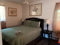 Nature Lovers Getaway Nestled In The Hills Of The Finger Lakes Region.. Hotels near West River Marsh