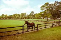 Tanglewood Farm - Fox Den Suite 1 Br/1BA Private Apartment on Horse Farm