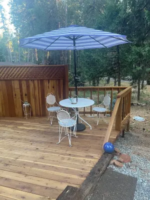 Tiny House with 2 lofts for sleeping. Just a mile from Grass Valley.