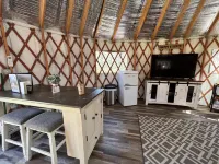 Pet friendly glamping in a private yurt with stunning 360° views by Forest Hotels in Dent County