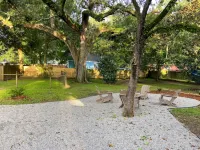 Cheerful tiny home by the Bay