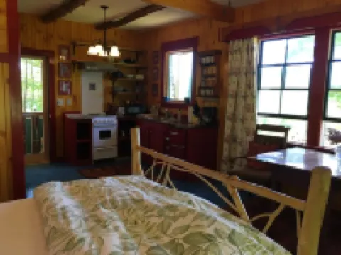 Handcrafted mountain cabin with gorgeous views Hotels in Johnsburg
