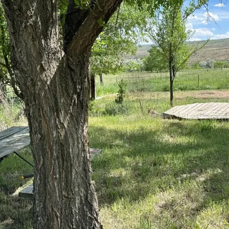 Peaceful rural setting in western Colorado.