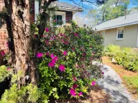Quaint Bungalow in Historic Downtown Florence Hotels near Edible Arrangements