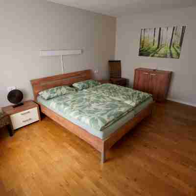 Ferienwohnung "laurentiusblick" mit Panoramablick in den Weinbergen von Leiwen Rooms