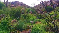 Cozy Airstream with WiFi, AC Amazing Desert Views 300 Acre Private Saguaro Park