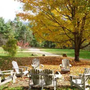 5 Bedroom House Lake George Region