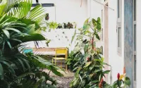 Betah Homestay Banyuwangi