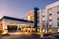 Hampton Inn & Suites Wilson-I-95 - piscina