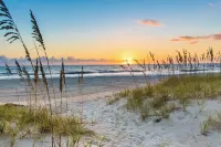 King Bed! Cozy Amelia Island Gem just steps to the beach.