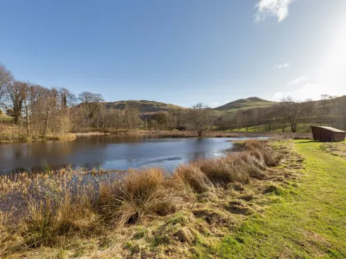 Foxglove cottage Hotels in Maybole