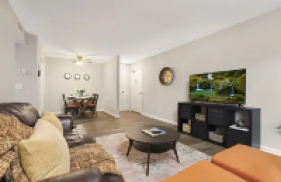 Pet Friendly Apartment in University area