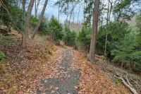 King Bed Serenity Retreat Hot Tub/Bar/Game Room