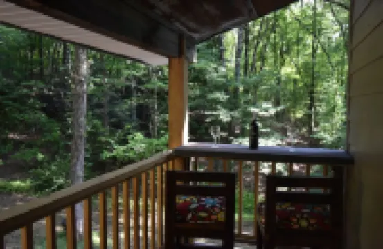 Cozy cabin, 1.5 miles to downtown McCaysville; shops/restaurants & Toccoa River