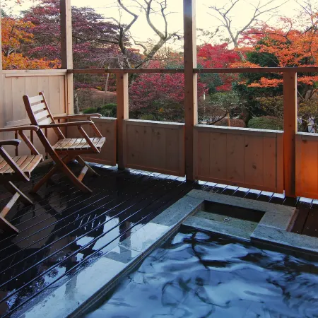 Hakone Kowakien Mikawaya Ryokan