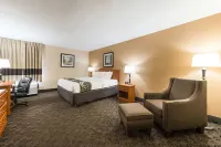 Quality Inn & Suites Hotels in Hobart