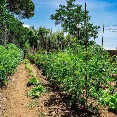 波賽頓別墅四品飯店及活動場地 Hotel Exterior