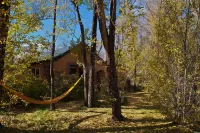 Taos Goji Farm & Eco-Lodge Retreat