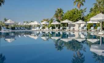 Iz Flower Side Beach Hotel
