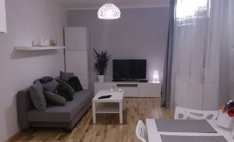 1 Bedroom City Center Apartment
