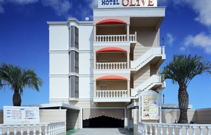 Hotel Fine Olive Sakai